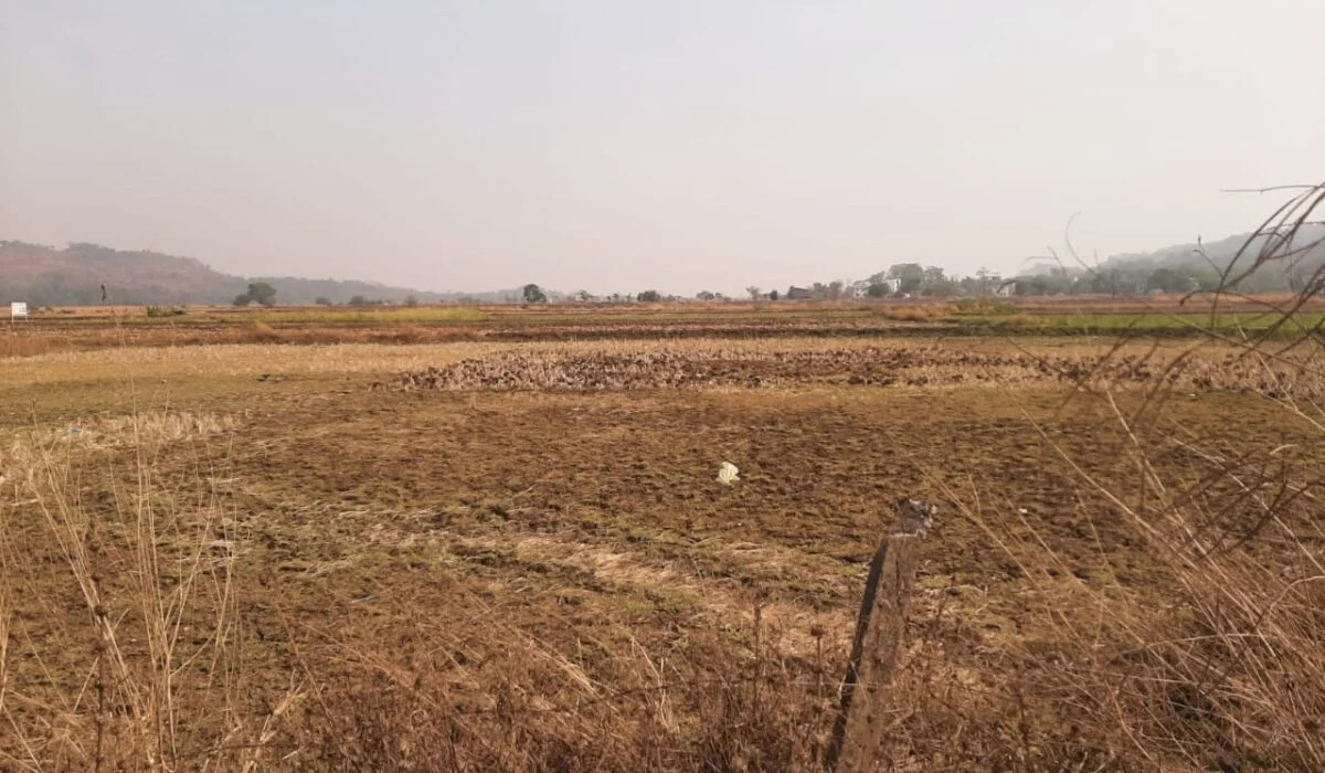 Pirkone landscape with plots